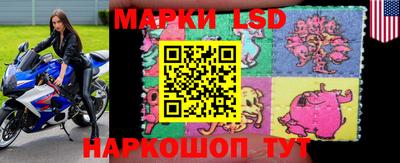 прущие грибы Лесосибирск