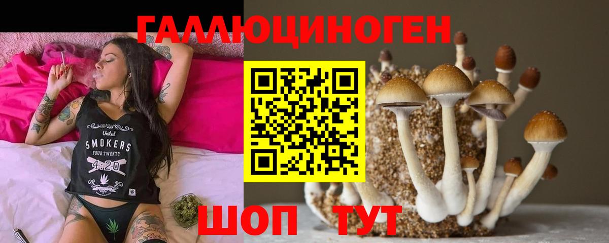 Псилоцибиновые грибы Cubensis  Вход с VPN  Губкинский 